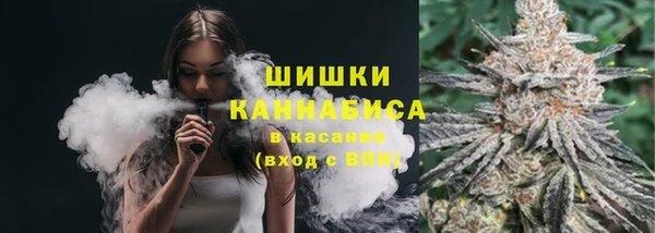 PSILOCYBIN Коряжма