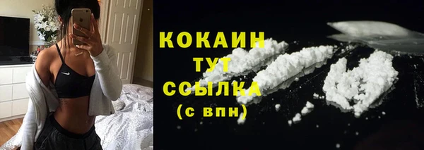 PSILOCYBIN Коряжма