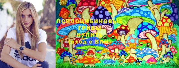 PSILOCYBIN Коряжма