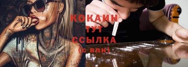 шишки Козловка