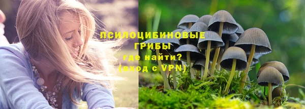 PSILOCYBIN Коряжма