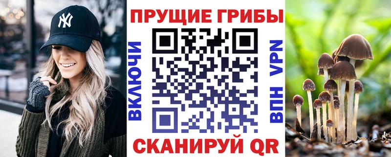 Галлюциногенные грибы MAGIC MUSHROOMS  Купить  Буинск 